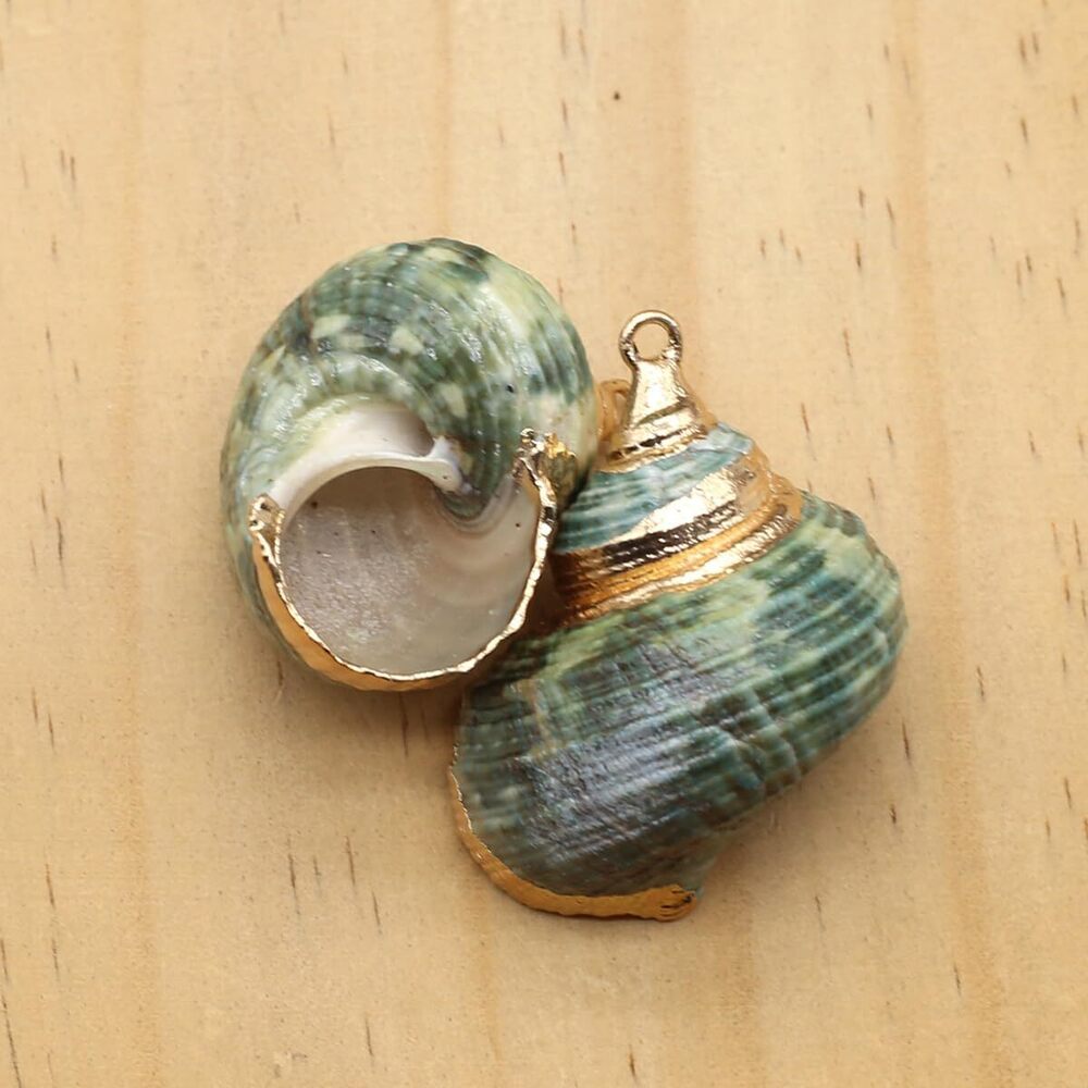 8848 20pcs Natural Pendants - Spiral, Conch, Cowrie, Sea Shells Charms - Picture 4 of 7